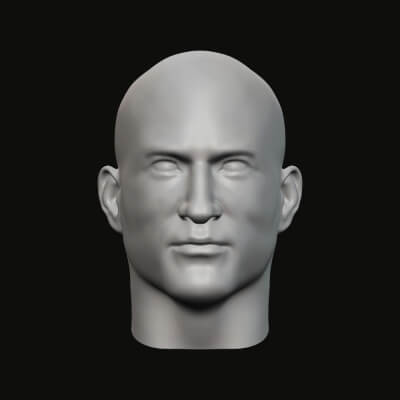 masculino cabeça 012 3d impressão modelo jaguar fera Produção 3D print model - Mito3D