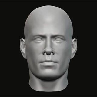 masculino cabeça 012 3d impressão modelo jaguar fera Produção 3d print model - Mito3D