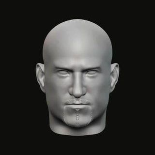 Masculin tête 015 3d impression modèle jaguar bête production 3d print model - Mito3D