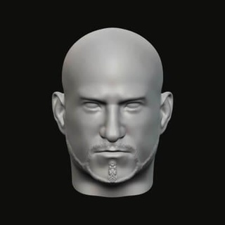 Masculin tête 015 027 3d impression modèle jaguar bête production 3d print model - Mito3D