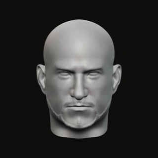 Masculin tête 015 030 3d impression modèle jaguar bête production 3d print model - Mito3D
