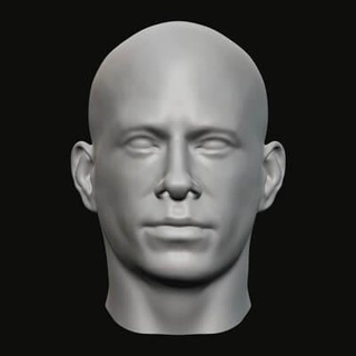 Masculin tête 016 3d impression modèle jaguar bête production 3d print model - Mito3D