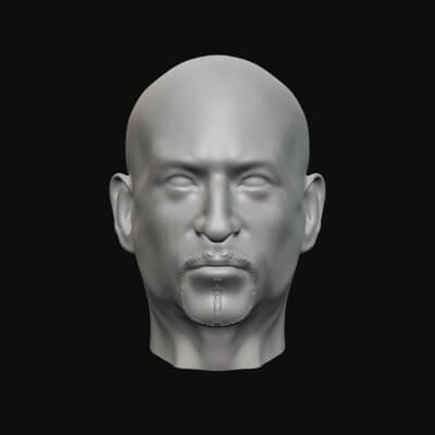 Masculin tête 016 3d impression modèle jaguar bête production 3D print model - Mito3D