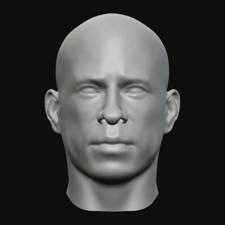Masculin tête 017 3d impression modèle jaguar bête production 3d print model - Mito3D