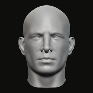 Masculin tête 018 3d impression modèle jaguar bête production 3d print model - Mito3D