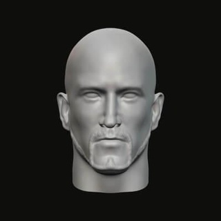 masculino cabeça 019 030 3d impressão modelo jaguar fera Produção 3d print model - Mito3D