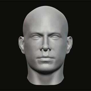 Masculin tête 02 3d impression modèle jaguar bête production 3d print model - Mito3D