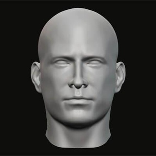 Masculin tête 03 3d impression modèle jaguar bête production 3d print model - Mito3D