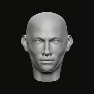 masculino cabeça 06 027 3d impressão modelo jaguar fera Produção 3d print model - Mito3D