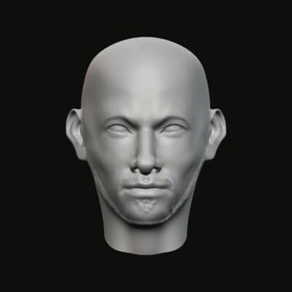 masculino cabeça 06 036 3d impressão modelo jaguar fera Produção 3d print model - Mito3D