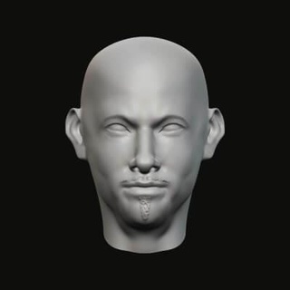 masculino cabeça 06 08 3d impressão modelo jaguar fera Produção 3d print model - Mito3D