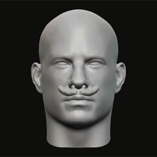 masculino cabeça 075 3d impressão modelo jaguar fera Produção 3d print model - Mito3D