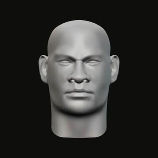 masculino cabeça 07 3d impressão modelo jaguar fera Produção 3d print model - Mito3D