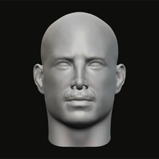masculino cabeça 118 3d impressão modelo jaguar fera Produção 3d print model - Mito3D