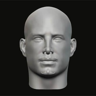 Masculin tête 124 3d impression modèle jaguar bête production 3d print model - Mito3D
