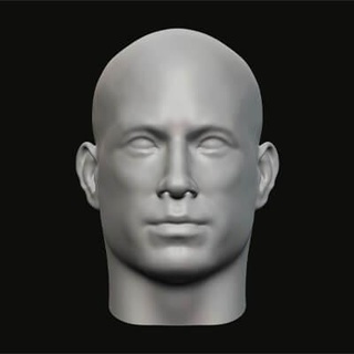 Masculin tête 138 3d impression modèle jaguar bête production 3d print model - Mito3D