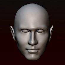 masculino cabeça 25 impressão pronto 3d modelo alexkovalev 3d print model - Mito3D