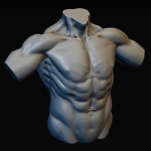 masculino torso impresión Listo 3d modelo alexkovalev 3d print model - Mito3D