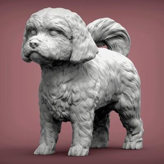 maltesisch Hund Statue 3d drucken Modell alexander3dart 3d print model - Mito3D