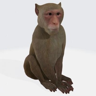 monkey mammal animal - 3d print model dawnhurt 3d print model - Mito3D