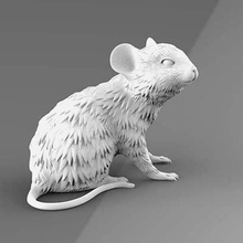 rato impressão pronto 3d modelo explorador 3d print model - Mito3D