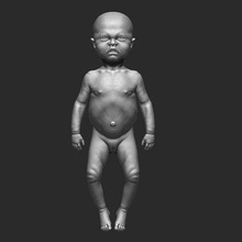 newborn baby anatomy 1 - position 0 print ready 3d model rbonnacoelho 3d print model - Mito3D