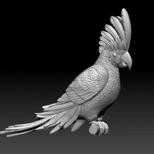 parrot cacadu - print ready 3d model explorer 3d print model - Mito3D