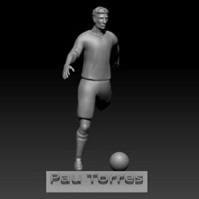 pau torres - print ready 3d model elitemodelry 3d print model - Mito3D