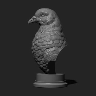 pigeon bust bird - 3d print model guninnik81 3d print model - Mito3D