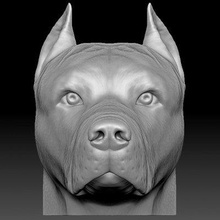 pitbull tête impression prêt 3d modèle réalité imprimée 3d print model - Mito3D