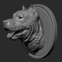 pitbull terrier cabeça impressão pronto 3d modelo guninnik81 3d print model - Mito3D
