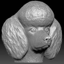 poodle head - print ready 3d model printedreality 3d print model - Mito3D