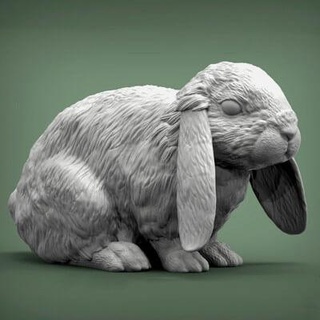 tavşan Amerikan bulanık züppe 3d Yazdır model alexander3dart 3d print model - Mito3D