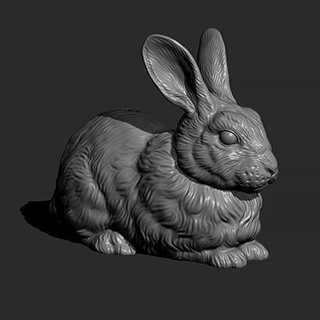rabbit fluffy guninnik81 3d print model - Mito3D
