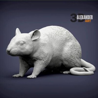 rato 3d impressão modelo alexander3dart 3d print model - Mito3D