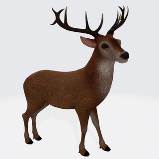 reindeer animal - 3d print model dawnhurt 3d print model - Mito3D