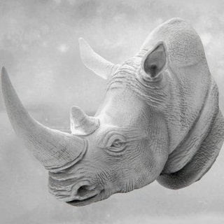 rhino bust sanchiesp 3d print model - Mito3D