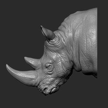 rhinocéros tête impression prêt 3d modèle guninnik81 3d print model - Mito3D