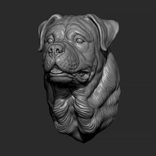 rottweiler buste chien 3d impression modèle guninnik81 3d print model - Mito3D