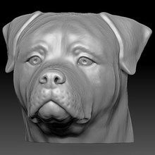 rottweiler cabeza impresión Listo 3d modelo Realidad impresa 3d print model - Mito3D