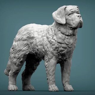 saint bernard perro 3d impresión modelo alexander3dart 3d print model - Mito3D