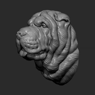 Shar pei perro busto 3d impresión modelo guninnik81 3d print model - Mito3D