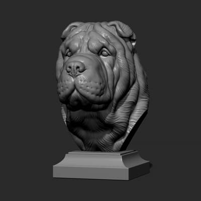 Shar pei perro cabeza 3d impresión modelo guninnik81 3D print model - Mito3D