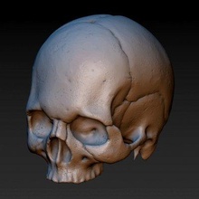 skull - print ready 3d model alexkovalev 3d print model - Mito3D
