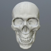 cranio Stampa pronto 3d modello icekazim 3d print model - Mito3D