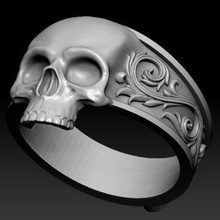 cranio squillare Stampa pronto 3d modello yuppi 3d print model - Mito3D