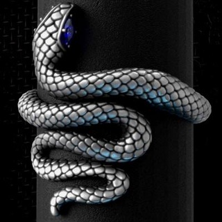 snake ring tahmaz 3d print model - Mito3D