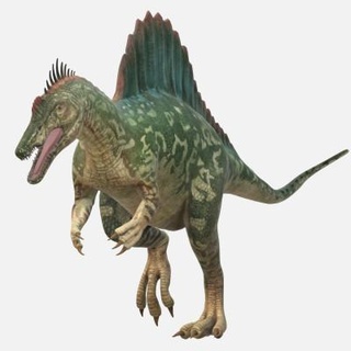 spinosaurus dinosaure 3d impression modèle 39 aube 3d print model - Mito3D