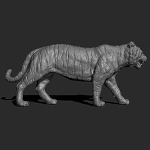 tigre marchant impression prêt 3d modèle guninnik81 3d print model - Mito3D