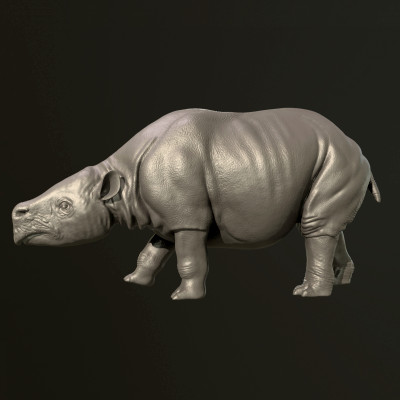 toxodonte extinto mamífero 3d impressão modelo antodonte 3D print model - Mito3D